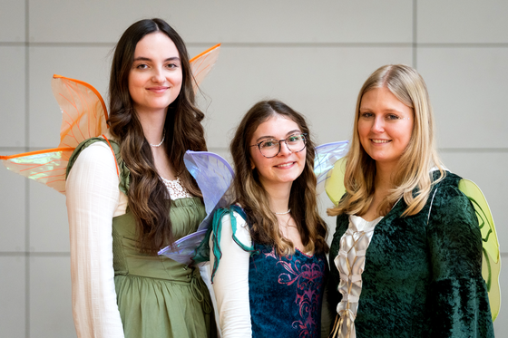 Bild 13