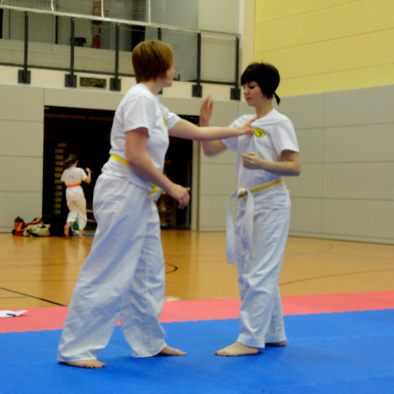 Bild training