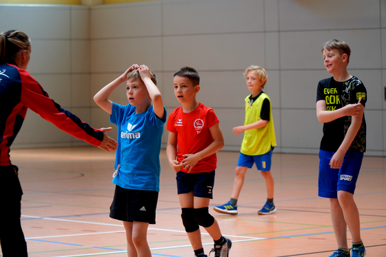 Bild 15
