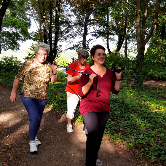 Bild freilufttraining-am-bergfried